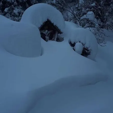 Semesterbostad Obersaeuling *
