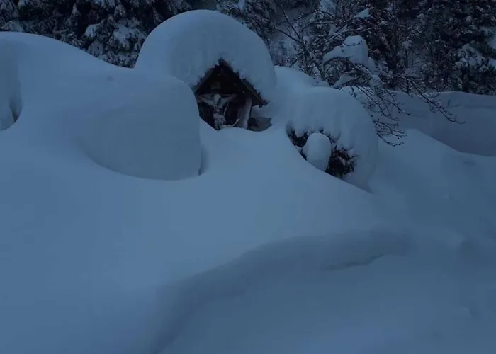 Casa de Férias Obersaeuling *